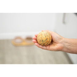 Denta Fun Surprise Ball s kuřecím masem a rýží, ø 7 cm, 100 g