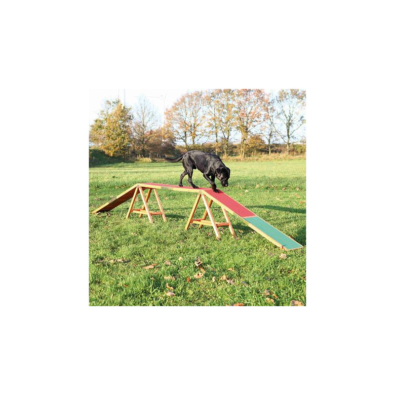 Dog Activity AGILITY nácviková lávka 456x64x30 cm