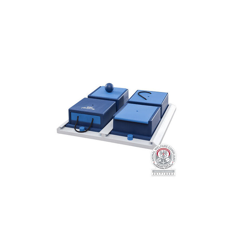 Dog Activity POCKER BOX 1 31x31 cm